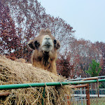 Photo n°10 de l'avis de Debora.u fait le 20/11/2021 à 13:56 sur le  Tenuta Bramasole à Inveruno