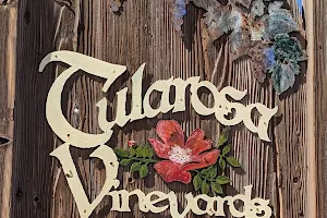 Tularosa Vineyards image