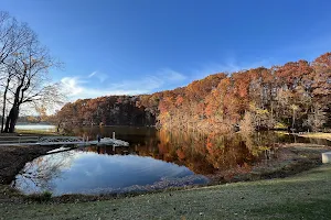 Mt. Gilead State Park image