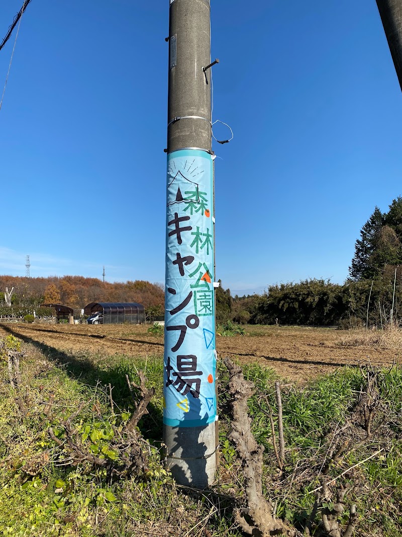 森林公園キャンプ場2ツリー