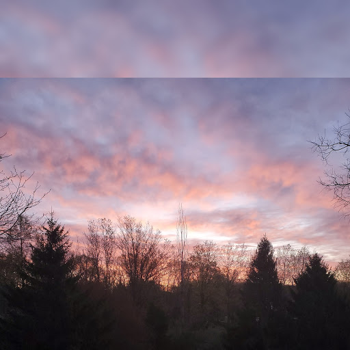 Auto Repair Shop «HMG Auto Repair», reviews and photos, 17 Stonebridge Rd, Hampton, NJ 08827, USA