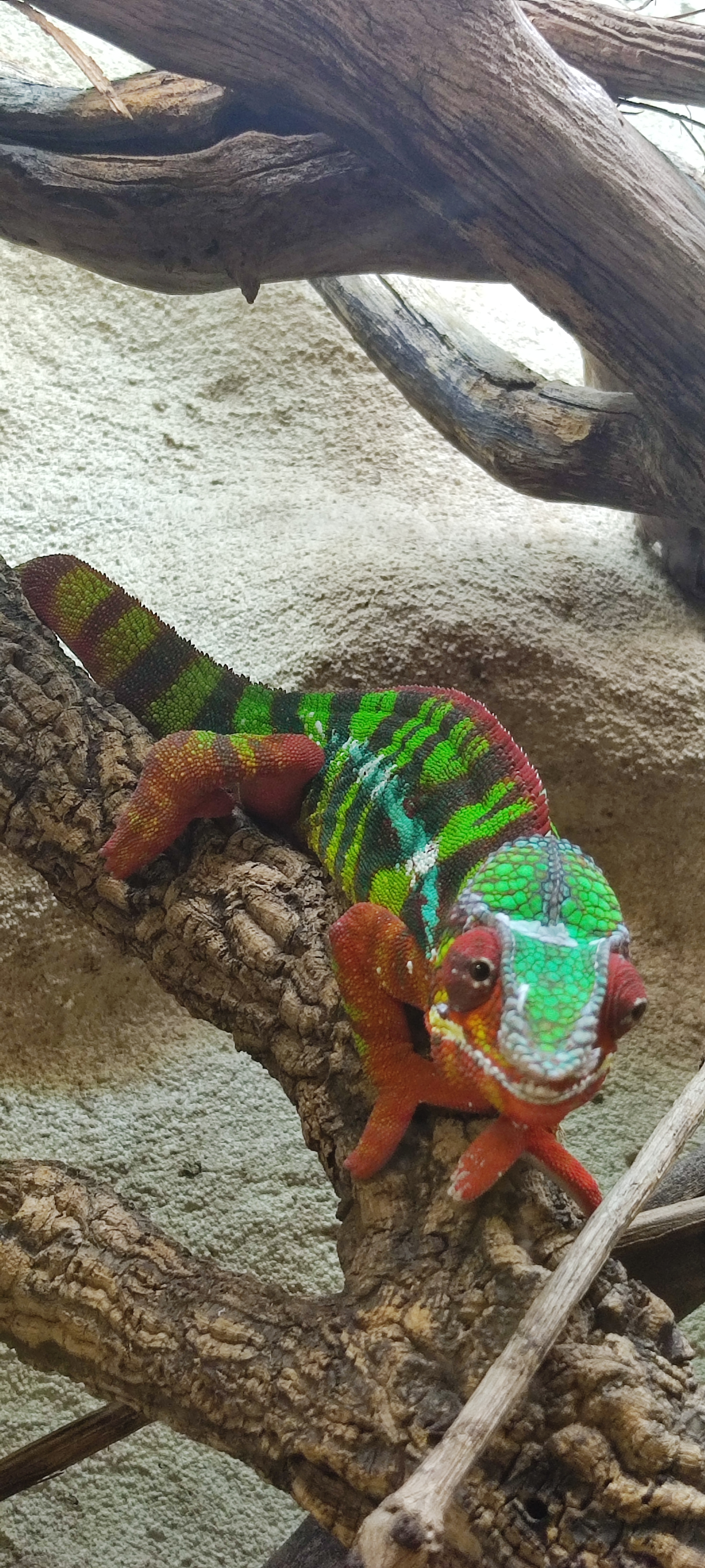 Photo n° 1 de l'avis de Yannick.o fait le 11/02/2023 à 16:29