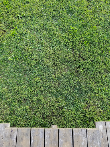 Park «Matthiessen Park», reviews and photos, 1 Bridge St, Irvington, NY 10533, USA