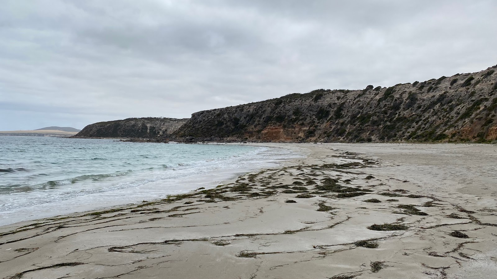 Photo de Gallipoli Beach avec un niveau de propreté de très propre
