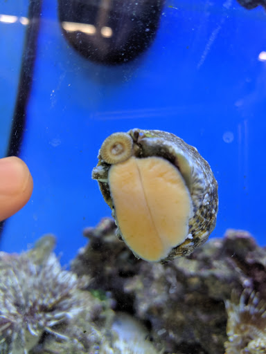 Pet Supply Store «Petco Animal Supplies», reviews and photos, 1215-1309 NJ-33 #1, Hamilton Township, NJ 08690, USA