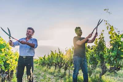 Domaine Alary - Cairanne à Cairanne