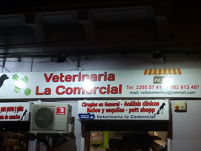 Opiniones de Veterinaria La Comercial en Cardona - Veterinario