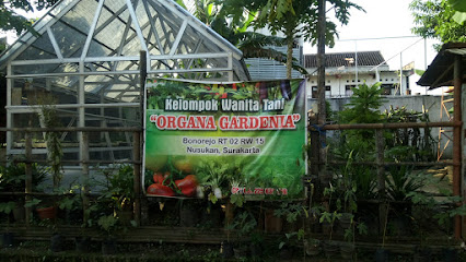 KWT Organa Gardenia