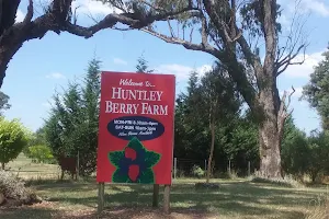 Huntley Berry Farm image