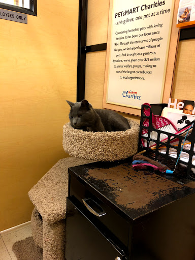 Pet Supply Store «PetSmart», reviews and photos, 3401 Erie Blvd E, Syracuse, NY 13214, USA