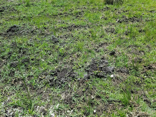 Nature Preserve «Grassy Waters Preserve», reviews and photos, 8264 Northlake Blvd, West Palm Beach, FL 33412, USA