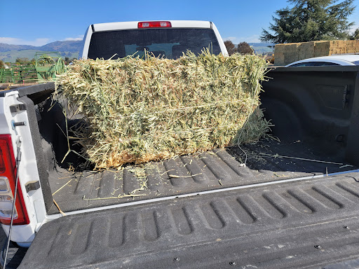 Pet Supply Store «Silva Ranches Feed Store», reviews and photos, 12310 Santa Teresa Blvd, San Martin, CA 95046, USA