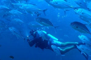 Luna Diving Thailand - Crociere Diving image