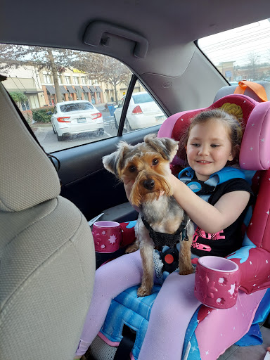 Pet Supply Store «PetSmart», reviews and photos, 1810 Cumming Hwy, Canton, GA 30114, USA