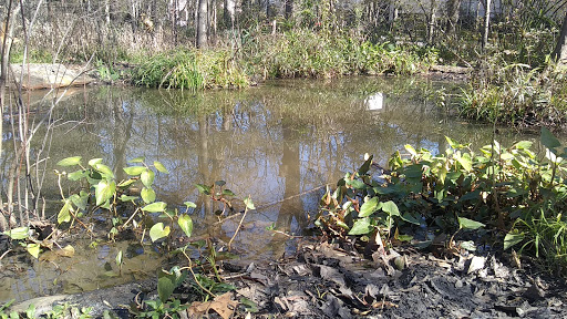 Non-Profit Organization «Nature Discovery Center», reviews and photos, 7112 Newcastle St, Bellaire, TX 77401, USA