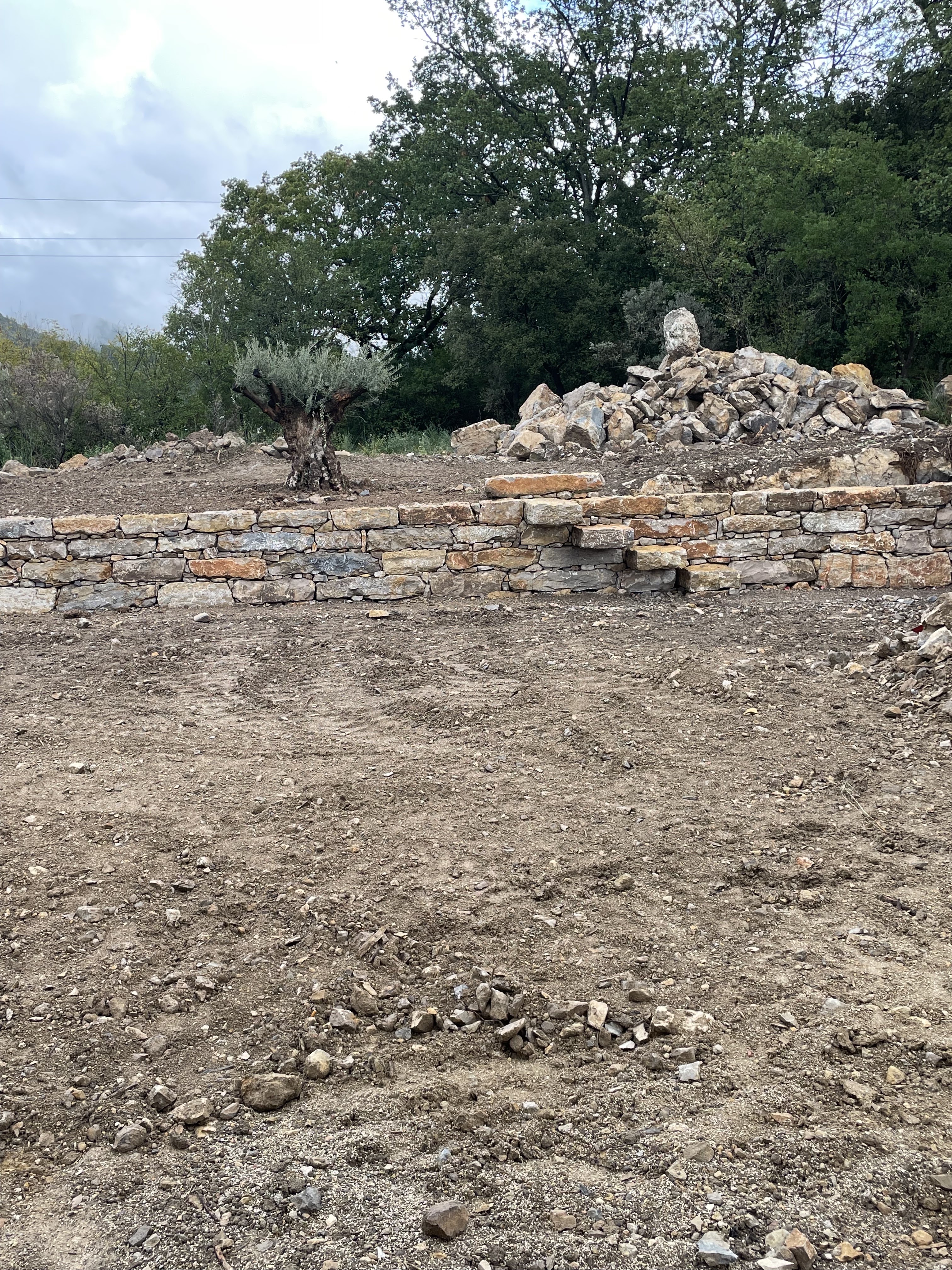 Photo n° 2 de l'avis de sliman.e fait le 09/11/2023 à 20:21