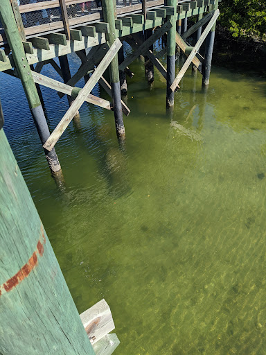 Nature Preserve «Manatee Viewing Center», reviews and photos, 6990 Dickman Rd, Apollo Beach, FL 33572, USA