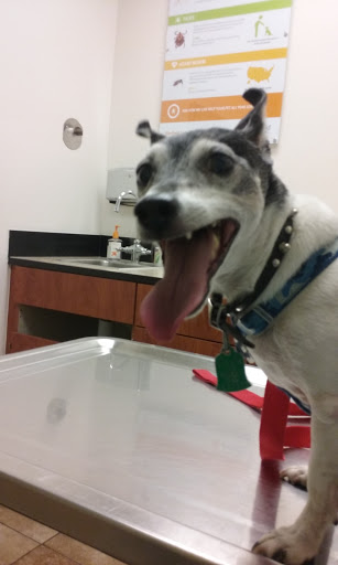 Pet Supply Store «PetSmart», reviews and photos, 355 Howe Ave, Cuyahoga Falls, OH 44221, USA