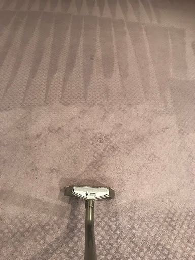 Carpet Cleaning Service «Elite Carpet Cleaning Service», reviews and photos, 29031 Glenarden St, Farmington Hills, MI 48334, USA