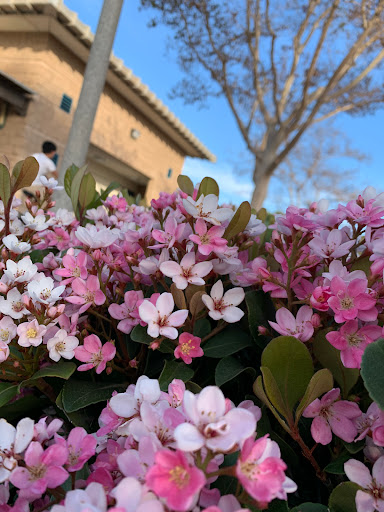 Park «Bill Barber Memorial Park», reviews and photos, 4 Civic Center Plaza, Irvine, CA 92606, USA