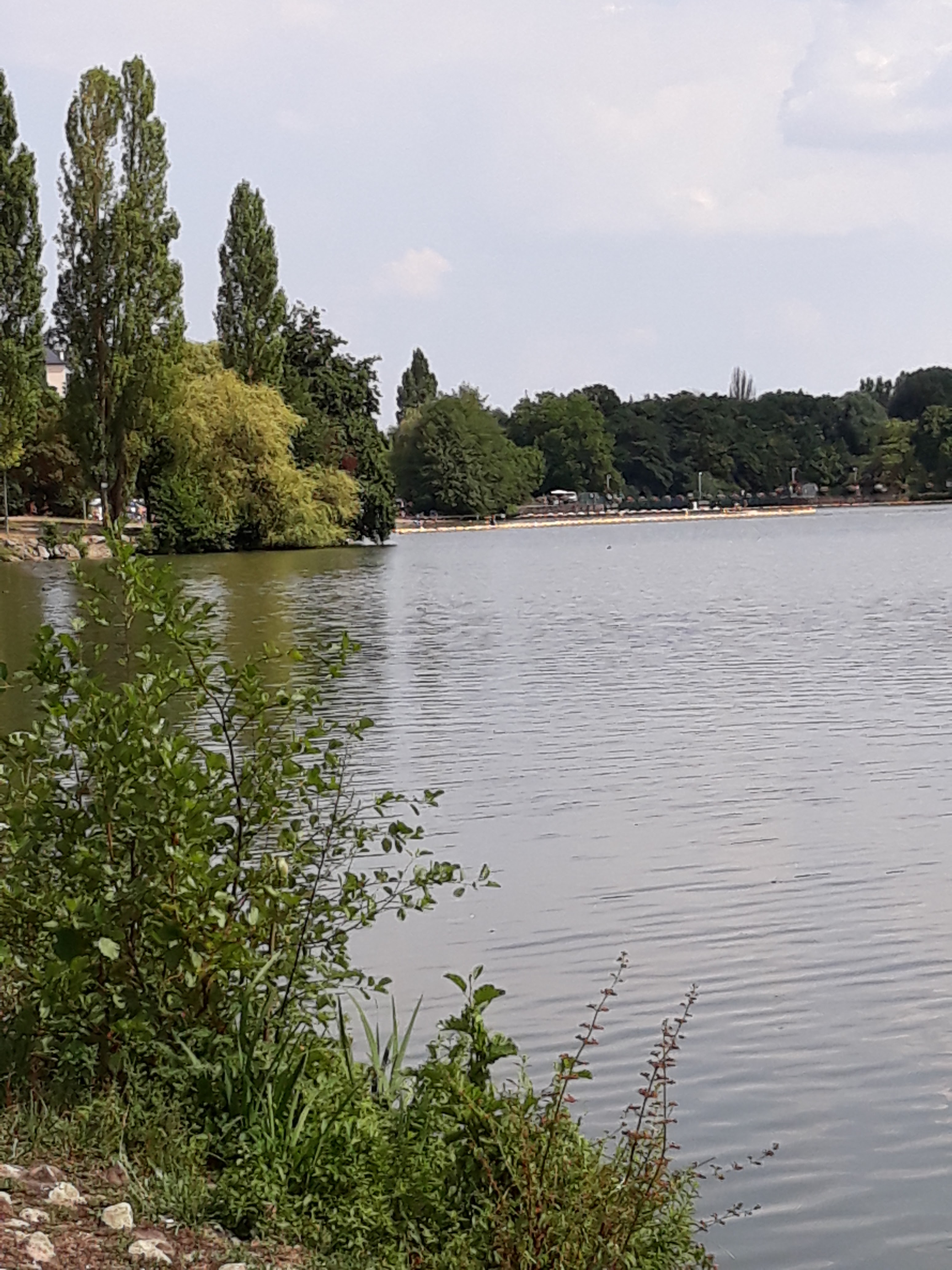 Photo n° 2 de l'avis de Philippe.u fait le 23/07/2018 à 17:17