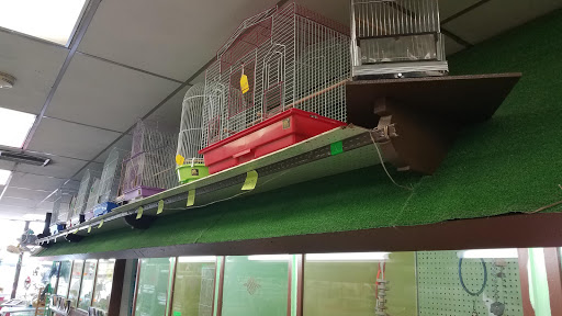 Pet Store «Pettin Place», reviews and photos, 1121 S Wells Ave, Reno, NV 89502, USA