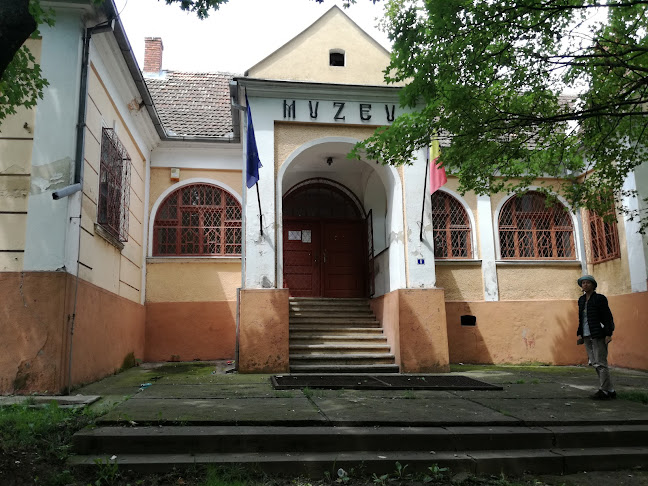 Comentarii opinii despre muzeul orășenesc Tășnad