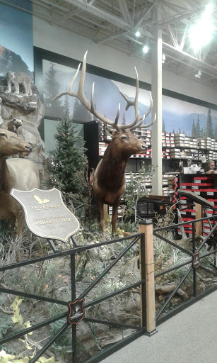 Outdoor Sports Store «Field & Stream», reviews and photos, 1501 Sentinel Dr Ste B, Chesapeake, VA 23320, USA