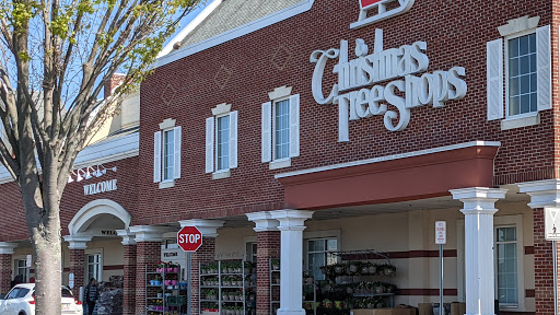 Home Goods Store «Christmas Tree Shops», reviews and photos, 479 NJ-70, Brick, NJ 08723, USA