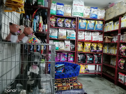 Negi Pets Shops