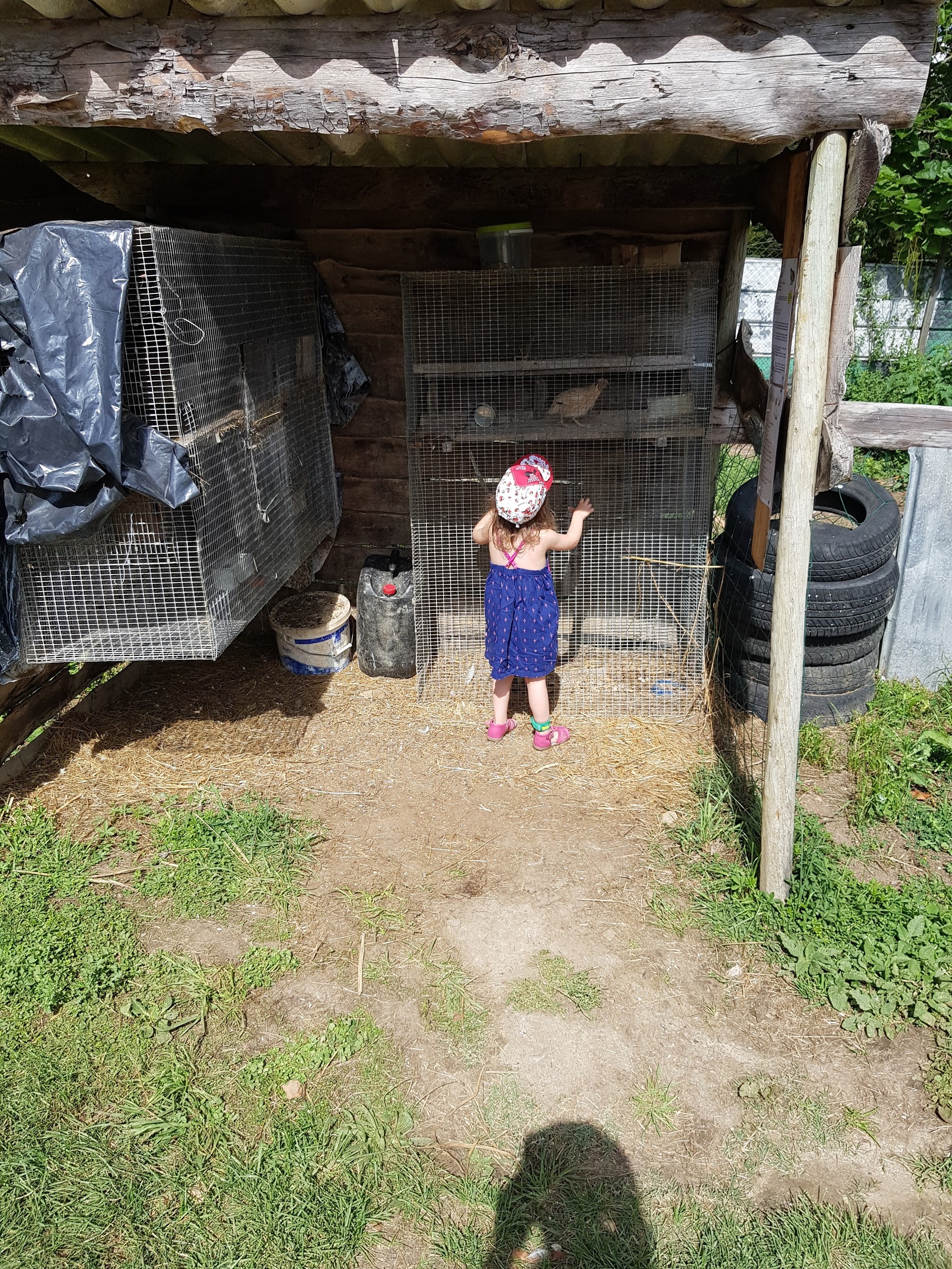 Photo n° 12 de l'avis de Gribs. fait le 13/08/2017 à 17:24