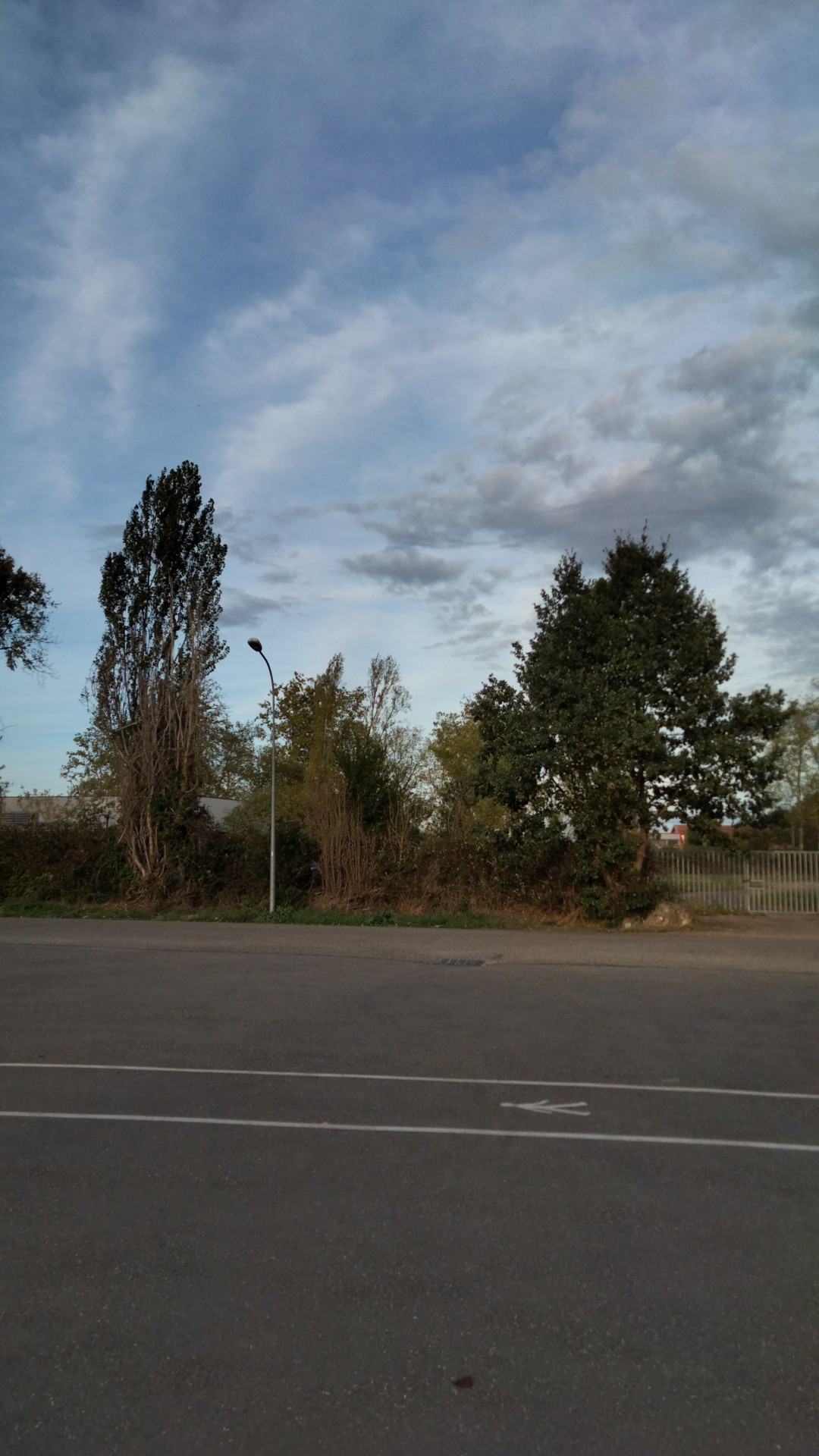 Photo n° 46 de l'avis de Francisco.a fait le 24/10/2022 à 15:38