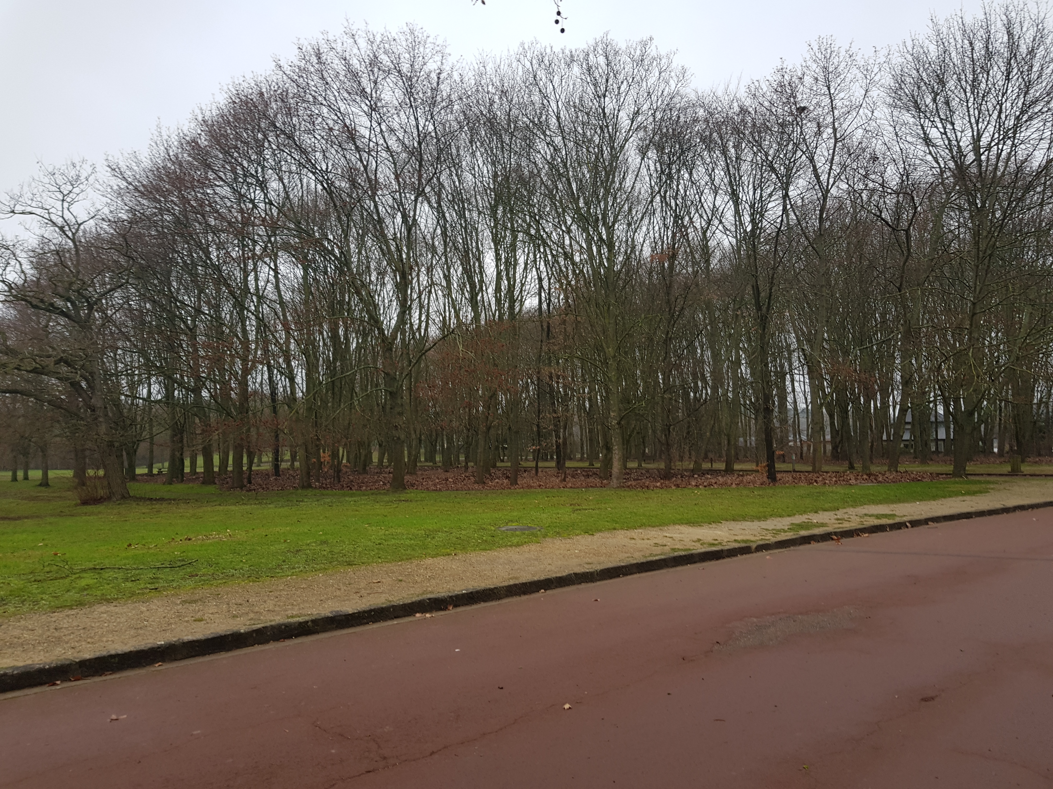 Photo n° 21 de l'avis de MICHELSON. fait le 20/01/2019 à 13:37