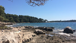 beach Rovinj II'in fotoğrafı düz bir kıyı şeridi ile birlikte
