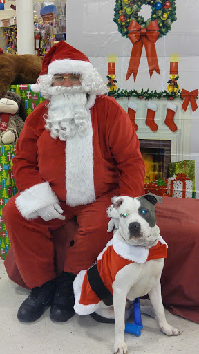 Pet Supply Store «PetSmart», reviews and photos, 12142 Jefferson Ave, Newport News, VA 23602, USA