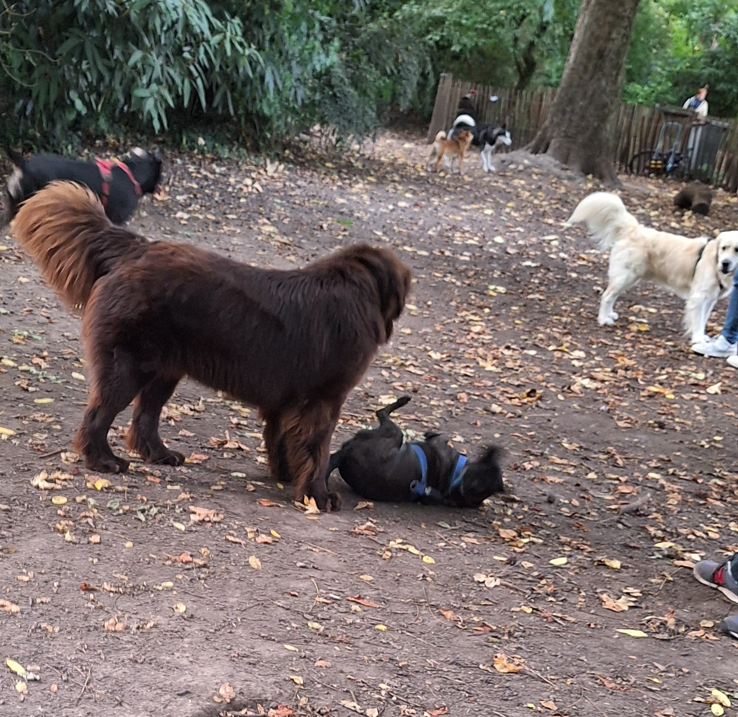 Photo n° 2 de l'avis de Annick.l fait le 05/09/2018 à 18:03