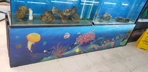 Aquarium «Skoolz of Fish», reviews and photos, 1503 Chamberlayne Ave, Richmond, VA 23222, USA