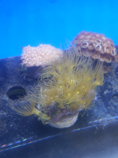 Pet Supply Store «Petco Animal Supplies», reviews and photos, 1901 Madison Ave #610, Mankato, MN 56001, USA