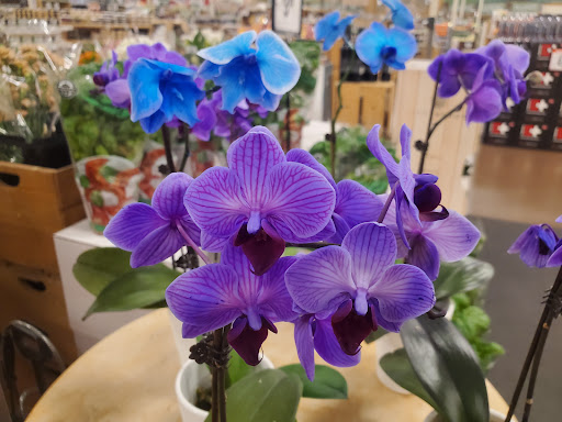 Health Food Store «Sprouts Farmers Market», reviews and photos, 7477 N Blackstone Ave, Fresno, CA 93720, USA