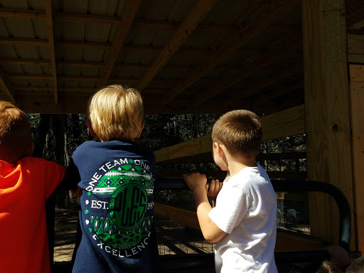 Tourist Attraction «Sugar Hill U-pick Farms», reviews and photos, 3595 Co Rd 59, Verbena, AL 36091, USA