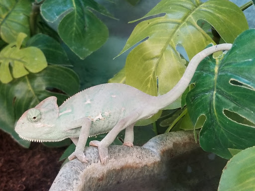 Pet Supply Store «Petco Animal Supplies», reviews and photos, 3320 Stockton Hill Rd, Kingman, AZ 86409, USA