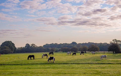 Hopefield Animal Sanctuary image