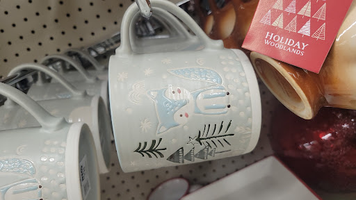 Discount Store «Big Lots», reviews and photos, 308 FL-312, St Augustine, FL 32086, USA