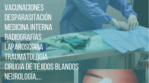 Clínica Veterinaria The Vet Aljarafe en Bollullos de la Mitación