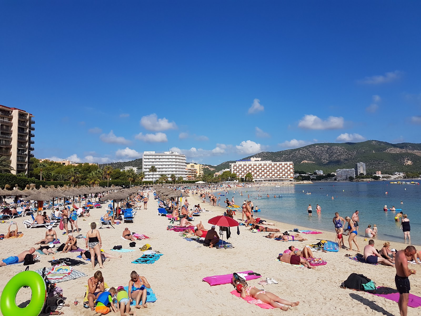 Foto von Palmanova Strand und die siedlung