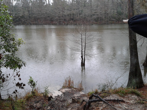 Park «Dennis Johnston Park», reviews and photos, 709 Riley Fuzzel Rd, Spring, TX 77373, USA