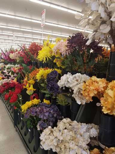 Craft Store «Hobby Lobby», reviews and photos, 419 Airport Rd, Arden, NC 28704, USA