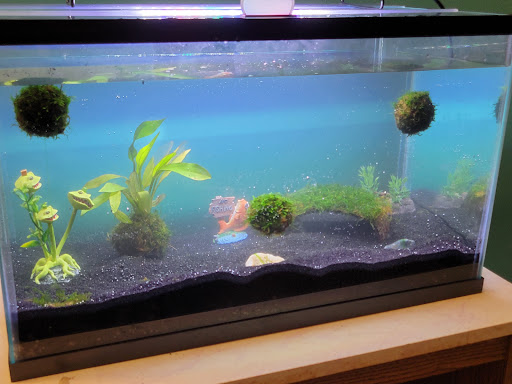 Pet Supply Store «Petco Animal Supplies», reviews and photos, 187 Stonebrook Pl, Jackson, TN 38305, USA