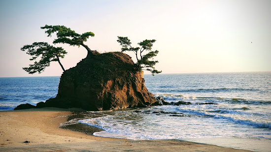 Biin Beach