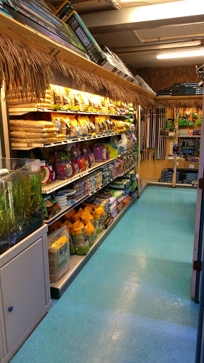 Tropical Fish Store «Stingray Bay», reviews and photos, 17800 E 9 Mile Rd, Eastpointe, MI 48021, USA